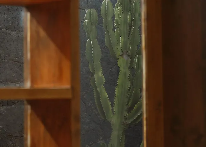 Canaryislandshost I Nativo * פאמארה