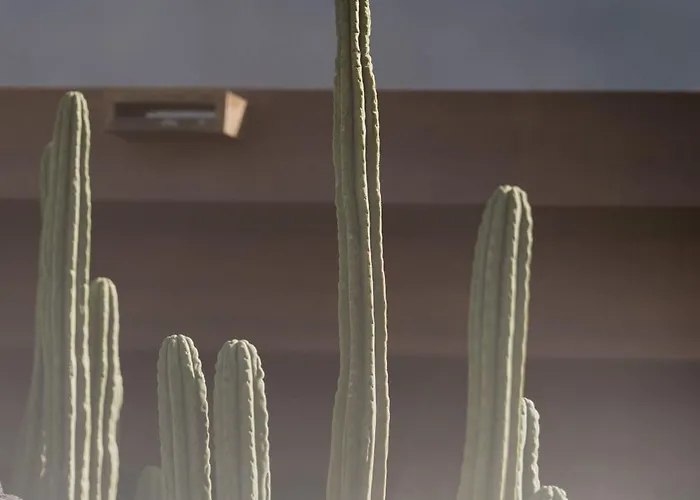 וילה Canaryislandshost I Nativo פאמארה