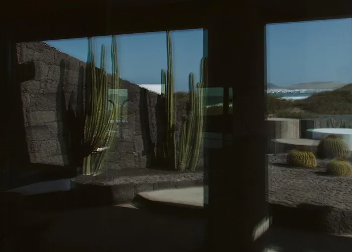 Canaryislandshost I Nativo *